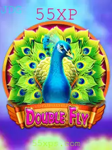 Descubra o Mundo Emocionante de DoubleFly com 55XP